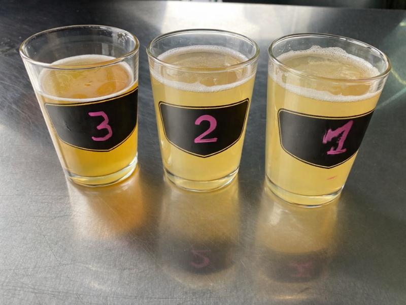 Reykjavik Beer & Booze Tour - Local Bars & Icelandic Drinks